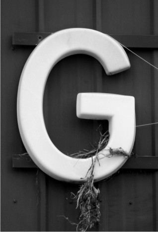 1. Letter G